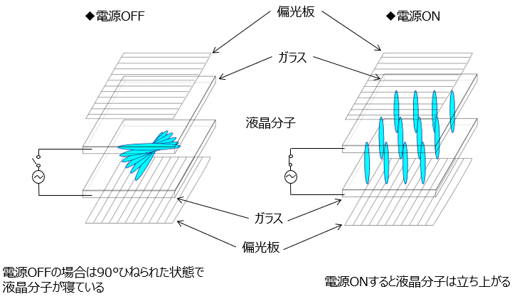 図1. 液晶分子の挙動
